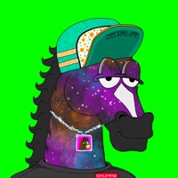 MR CHUMMY 🐴 105
