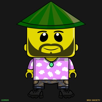 MiniBrix #11