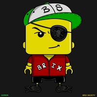 MiniBrix #17