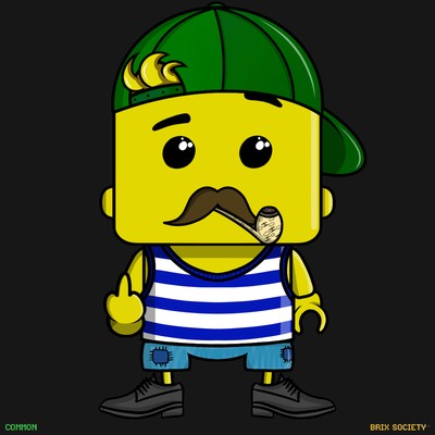 MiniBrix #18