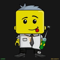 MiniBrix #44