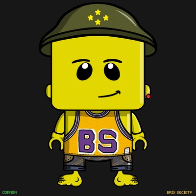 MiniBrix #51
