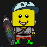 MiniBrix #80