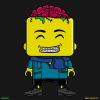 MiniBrix #204