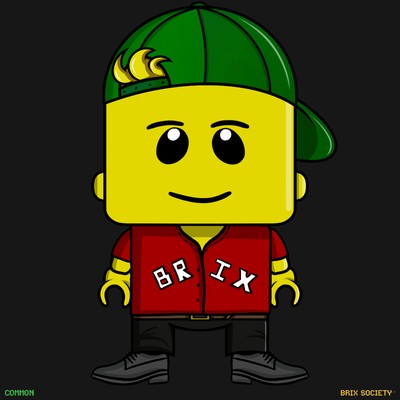 MiniBrix #210