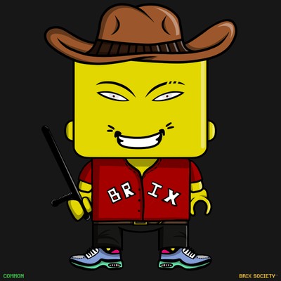 MiniBrix #211