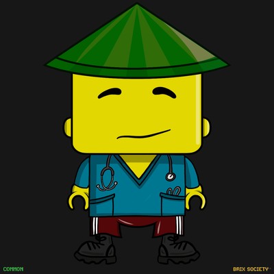 MiniBrix #223
