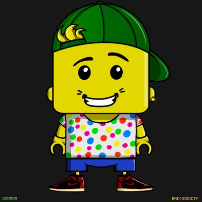 MiniBrix #232