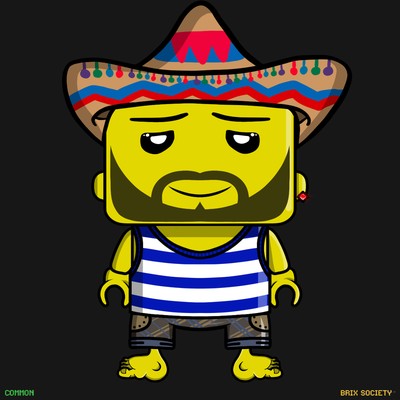 MiniBrix #237