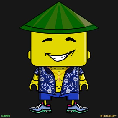 MiniBrix #447