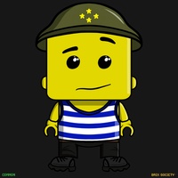 MiniBrix #489