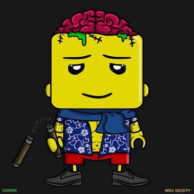 MiniBrix #503