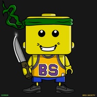 MiniBrix #505
