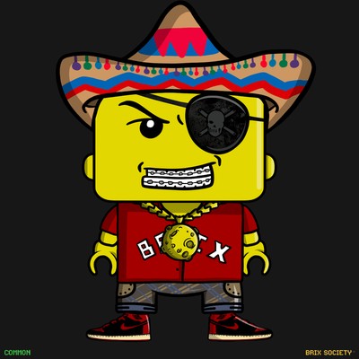 MiniBrix #526