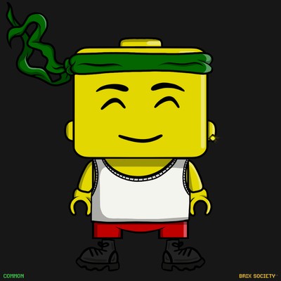MiniBrix #560