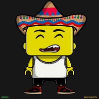 MiniBrix #562