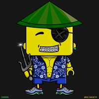 MiniBrix #571