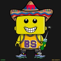 MiniBrix #675