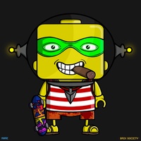 MiniBrix #690