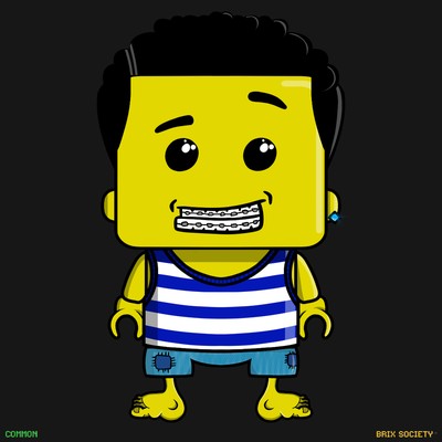 MiniBrix #698