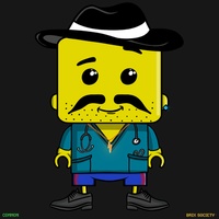 MiniBrix #701