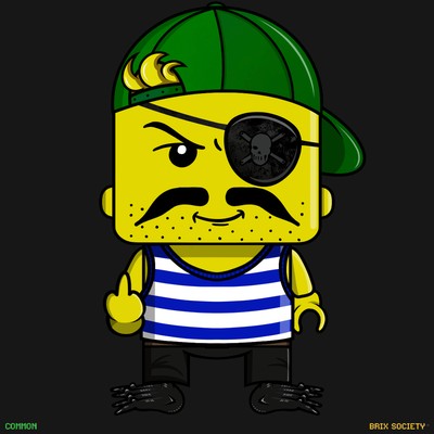 MiniBrix #705