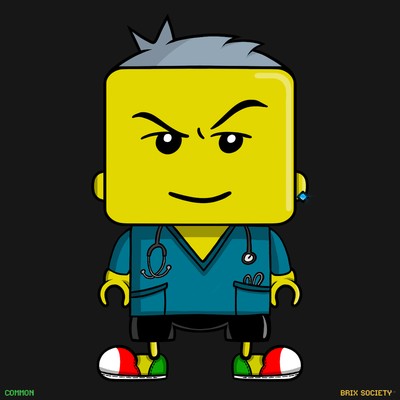 MiniBrix #748