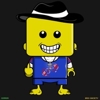 MiniBrix #779