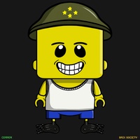 MiniBrix #790