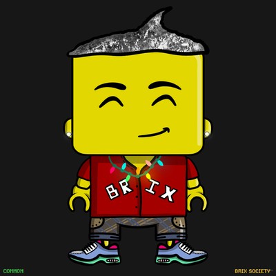 MiniBrix #799