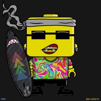 MiniBrix #802