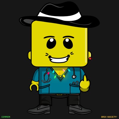 MiniBrix #806