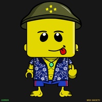 MiniBrix #809