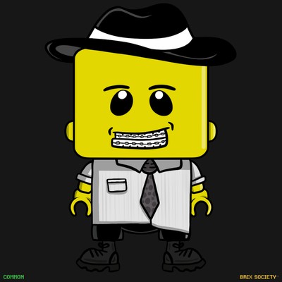 MiniBrix #820
