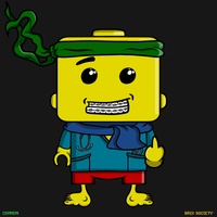 MiniBrix #824
