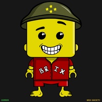 MiniBrix #829