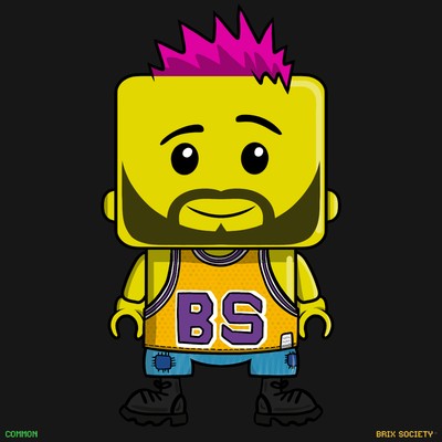 MiniBrix #846