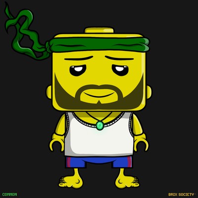 MiniBrix #862