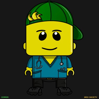 MiniBrix #873