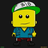 MiniBrix #910