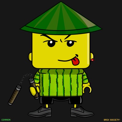 MiniBrix #916