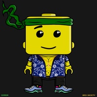 MiniBrix #1017