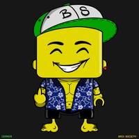 MiniBrix #1205