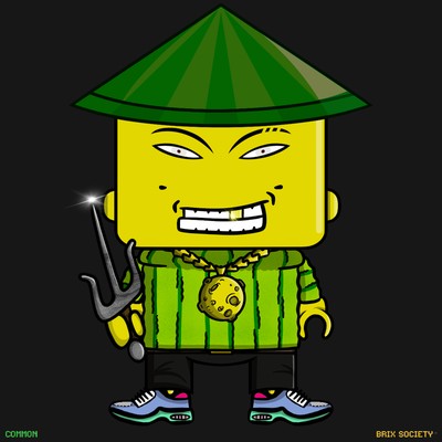 MiniBrix #1481