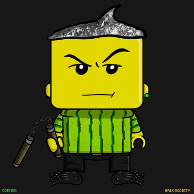 MiniBrix #1488