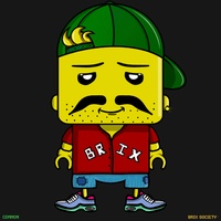 MiniBrix #1545