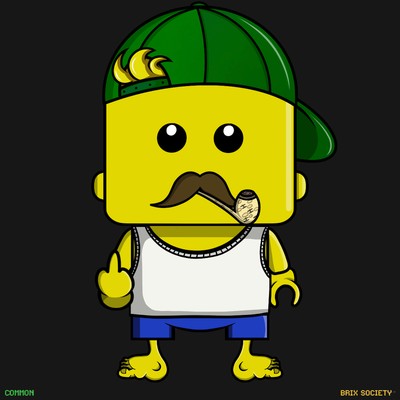 MiniBrix #1563