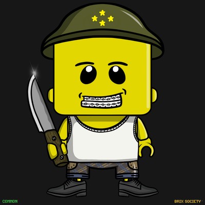MiniBrix #1586