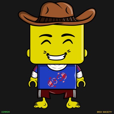 MiniBrix #1713