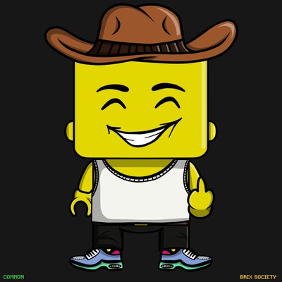 MiniBrix #1756